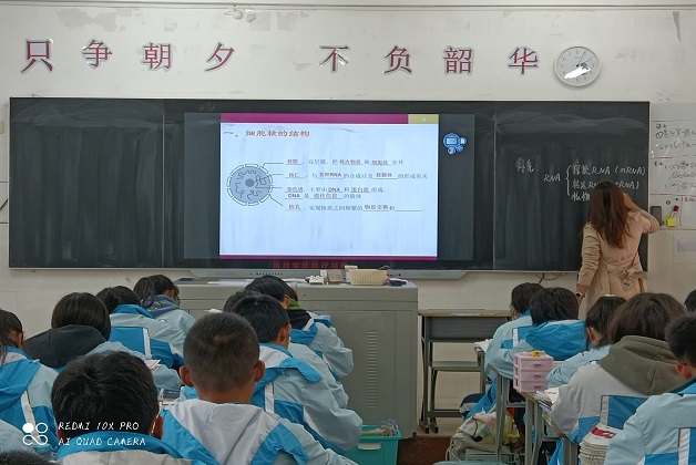 唐愿茹.jpg