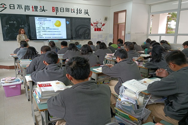 张海梅.jpg