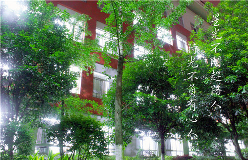 IMG_8277_副本_副本.jpg IMG_8277_副本_副本.jpg