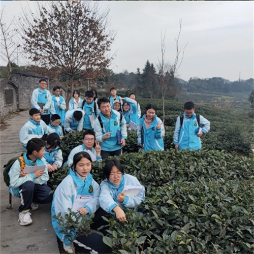 微信图片_20230302113648.png