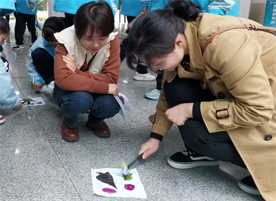 图片27.png 图片27.png