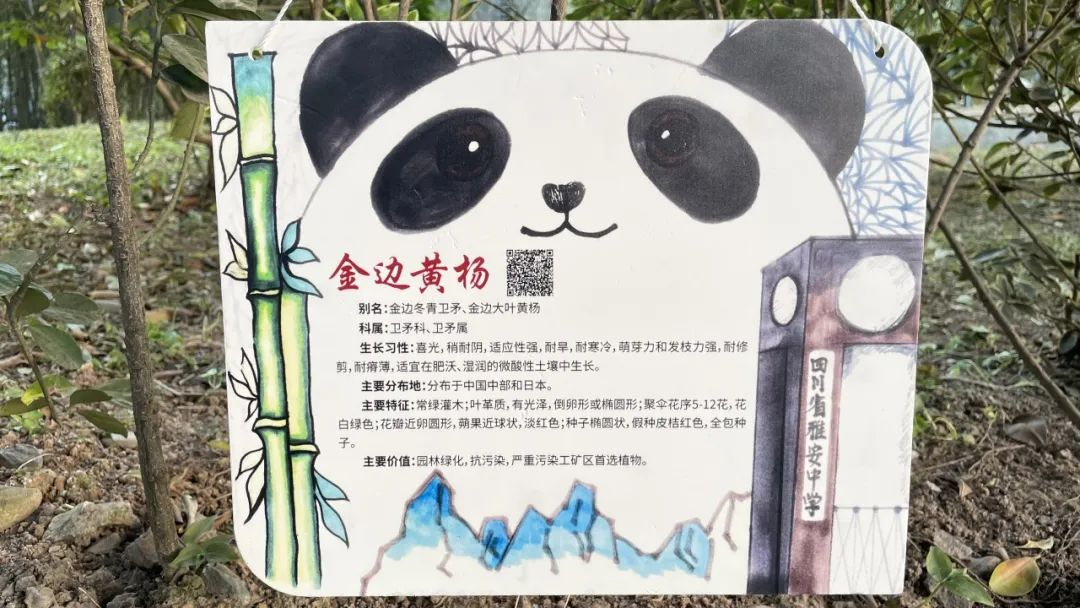 图片4.png 图片4.png