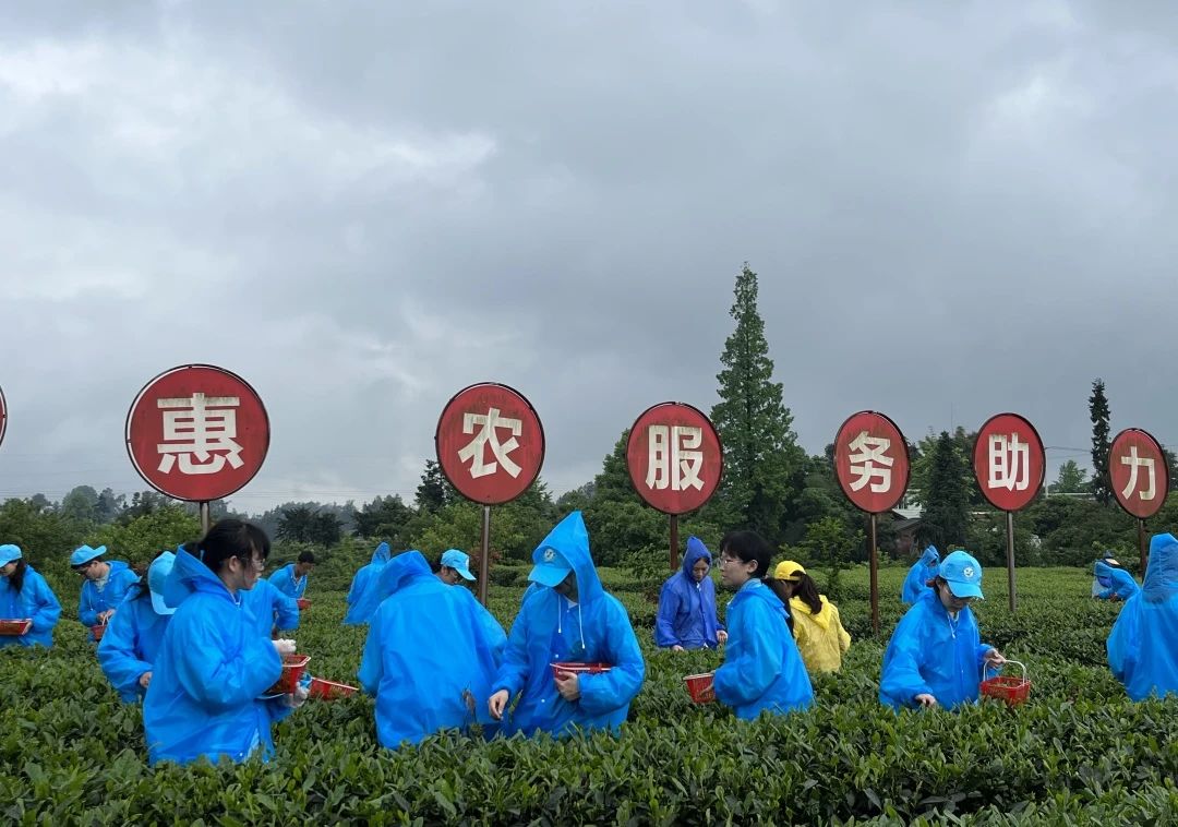 微信图片_20240424102731.jpg 微信图片_20240424102731.jpg