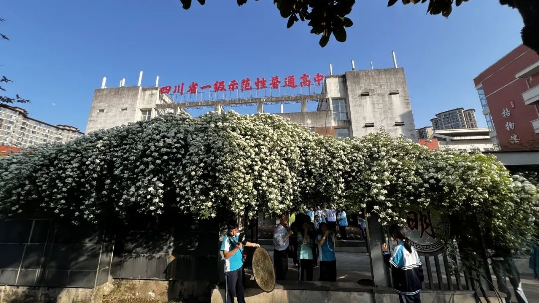 图片1.png 图片1.png