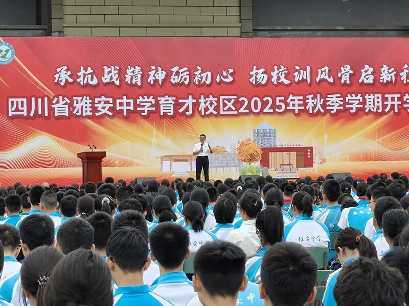 图片11.png